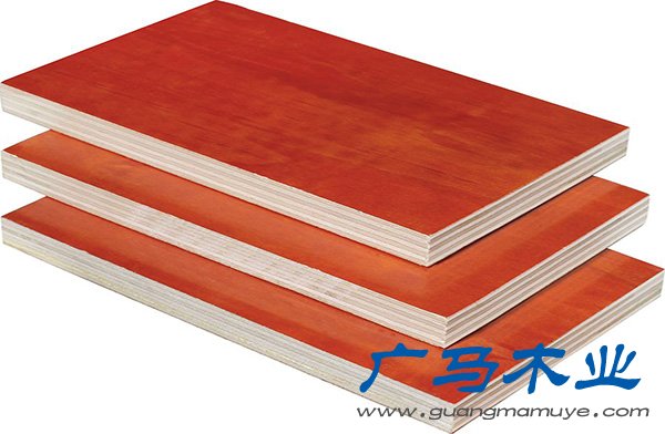 广西桉木木模板