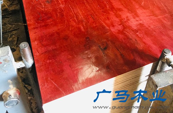 整板桉木板芯松木酚醛树脂面木模板